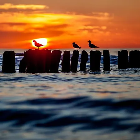 Apartament Whiteblue 40 Bliżej Morza *