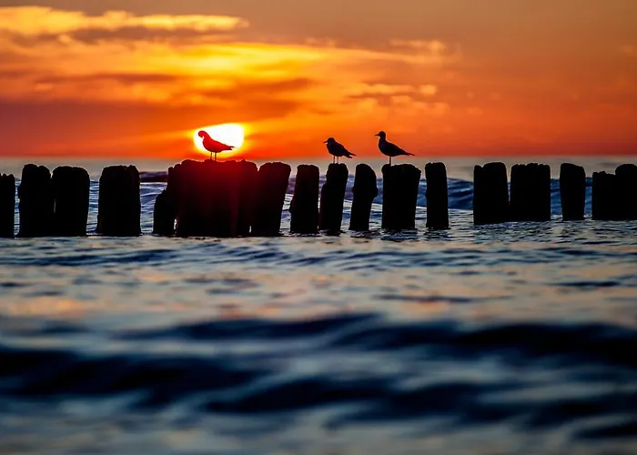 Appartement Whiteblue 40 Blizej Morza *